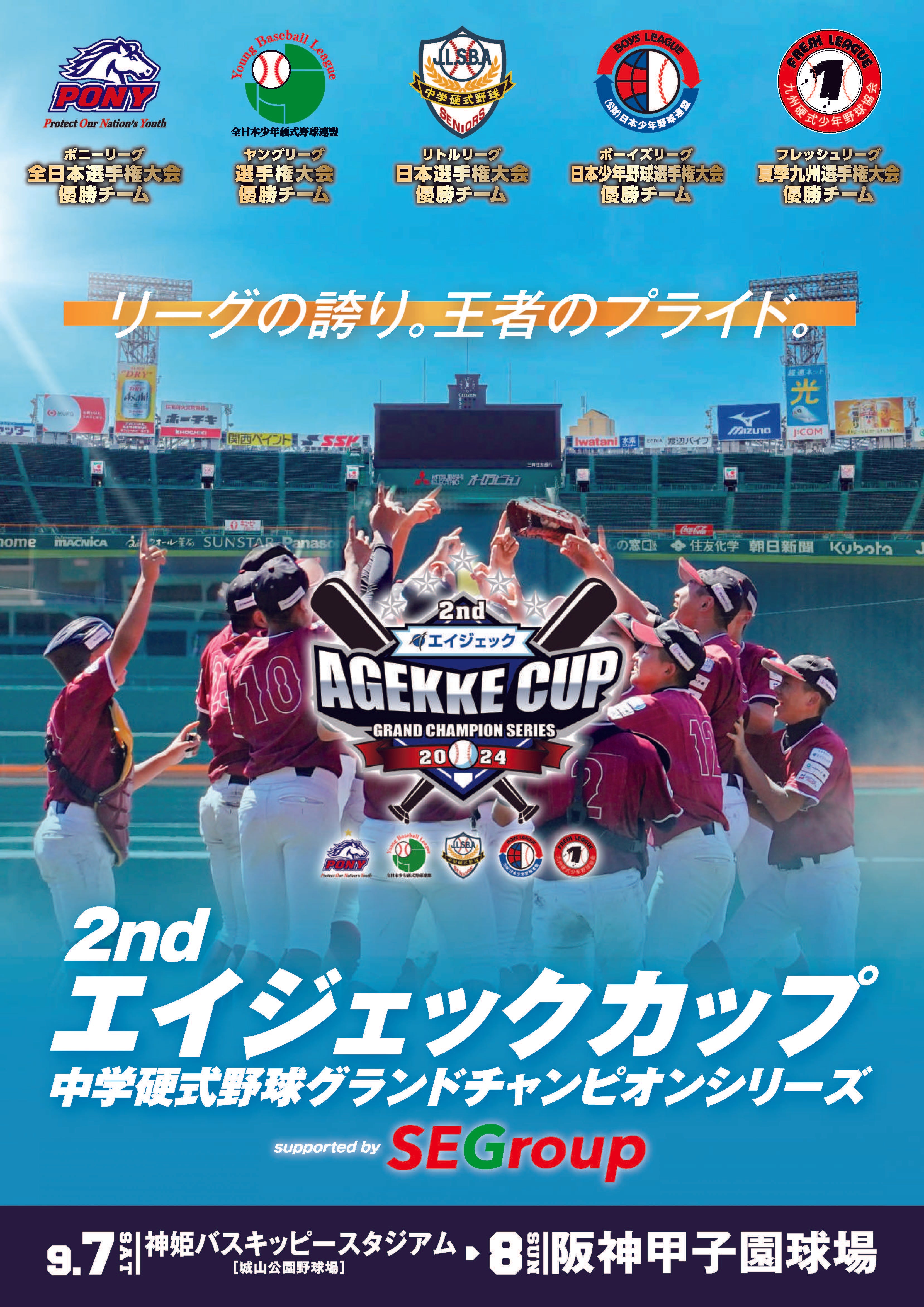 アクセサリーまとめ売り　　値下げしました！ ダーツケース > アクセサリ > SHADE(シェイド) プレイヤーネック