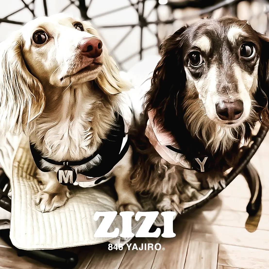 ZIZI Necklace【TOP】