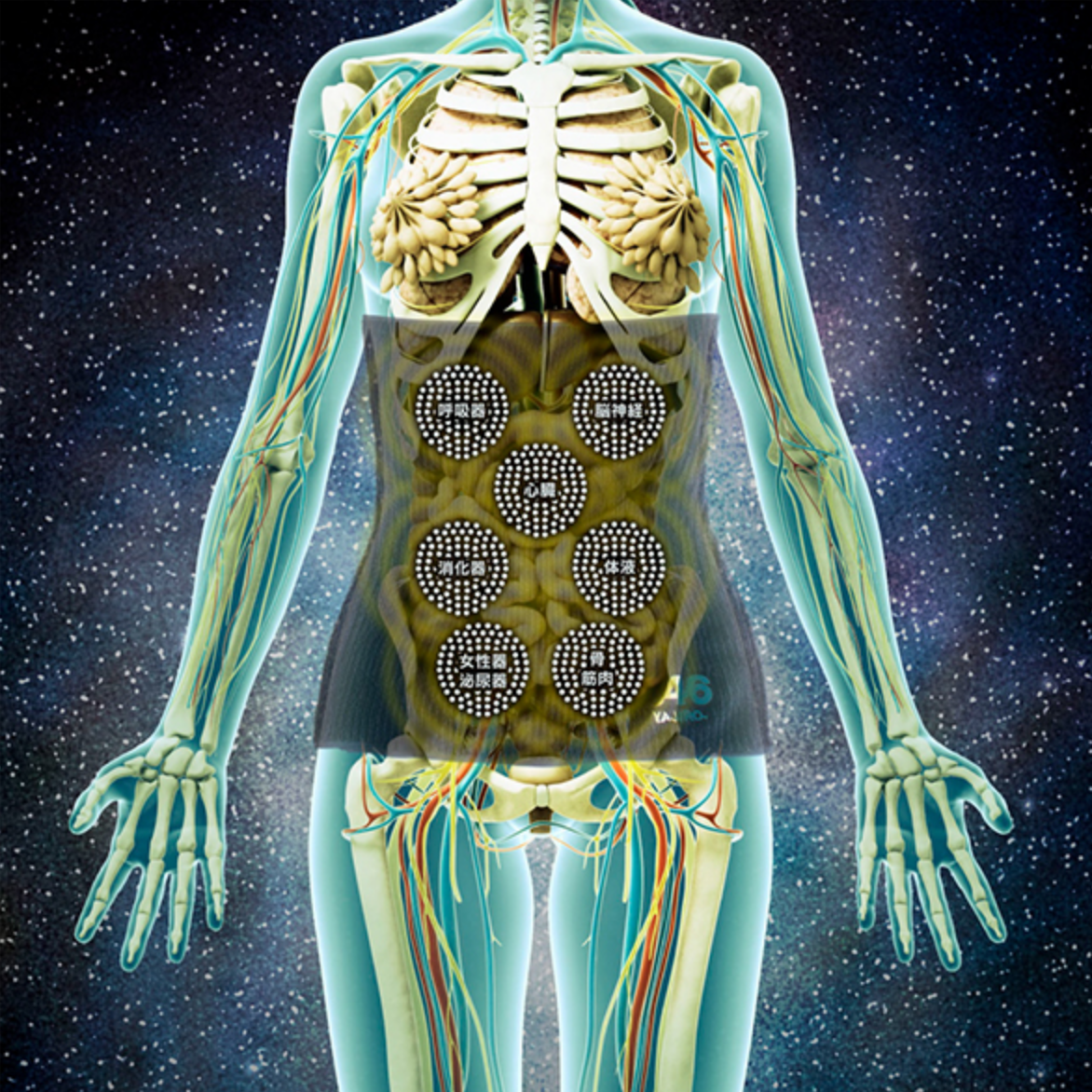 joy Series HARAMAKI Red Long