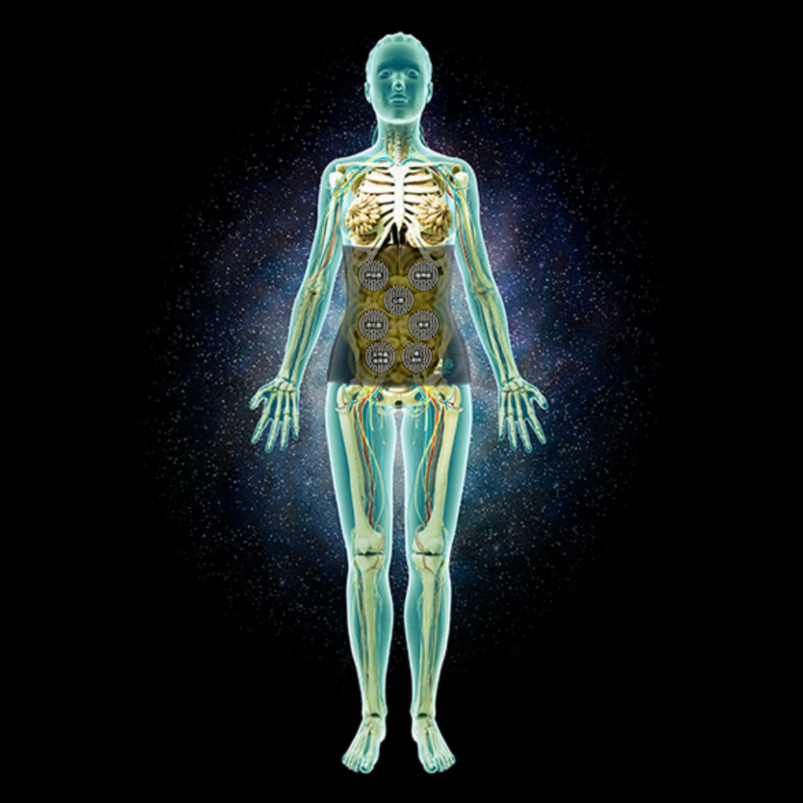 joy Series HARAMAKI Pink